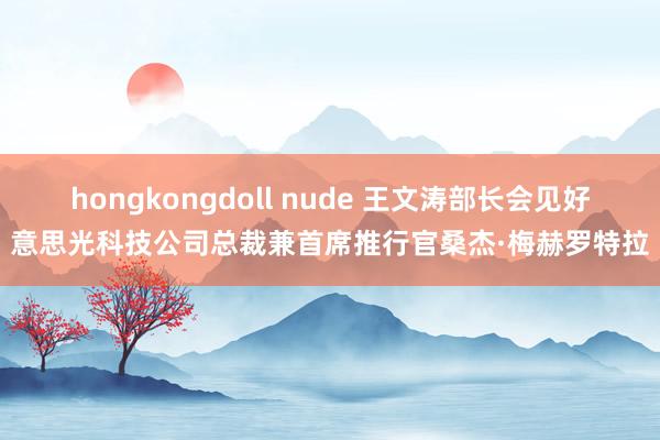 hongkongdoll nude 王文涛部长会见好意思光科技公司总裁兼首席推行官桑杰·梅赫罗特拉