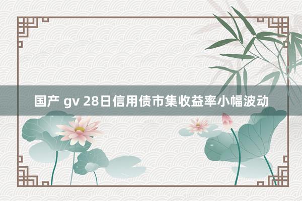 国产 gv 28日信用债市集收益率小幅波动