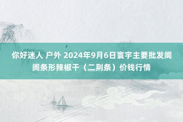 你好迷人 户外 2024年9月6日寰宇主要批发阛阓条形辣椒干（二荆条）价钱行情