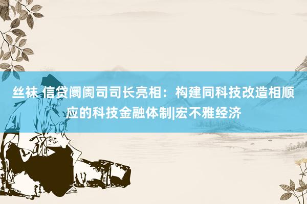 丝袜 信贷阛阓司司长亮相：构建同科技改造相顺应的科技金融体制|宏不雅经济