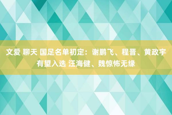 文爱 聊天 国足名单初定：谢鹏飞、程晋、黄政宇有望入选 汪海健、魏惊怖无缘