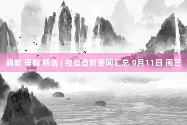 调教 母狗 精选 | 夜盘盘前要闻汇总 9月11日 周三