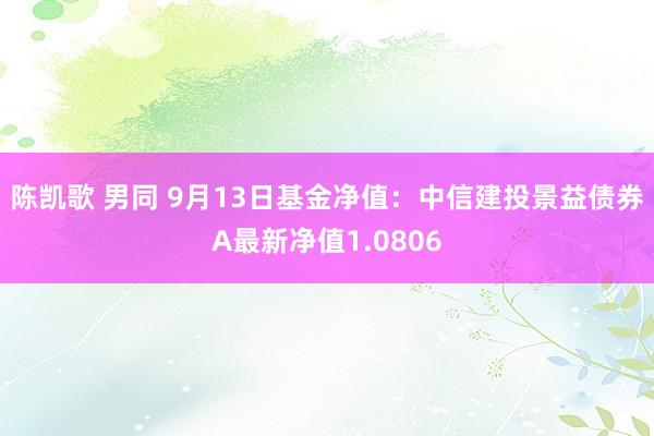 陈凯歌 男同 9月13日基金净值：中信建投景益债券A最新净值1.0806