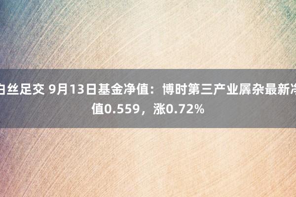 白丝足交 9月13日基金净值：博时第三产业羼杂最新净值0.559，涨0.72%