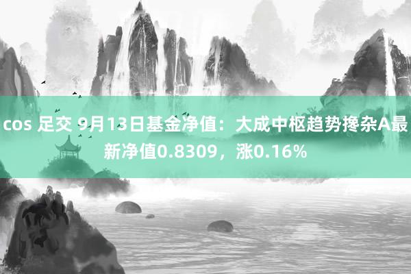 cos 足交 9月13日基金净值：大成中枢趋势搀杂A最新净值0.8309，涨0.16%