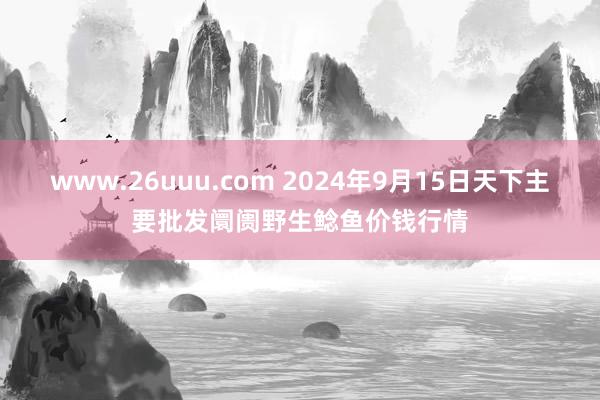 www.26uuu.com 2024年9月15日天下主要批发阛阓野生鲶鱼价钱行情