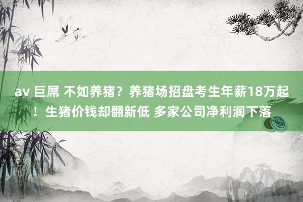 av 巨屌 不如养猪？养猪场招盘考生年薪18万起！生猪价钱却翻新低 多家公司净利润下落