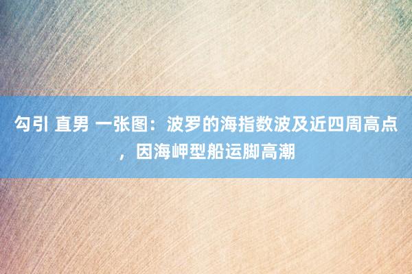 勾引 直男 一张图：波罗的海指数波及近四周高点，因海岬型船运脚高潮