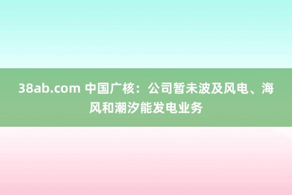 38ab.com 中国广核：公司暂未波及风电、海风和潮汐能发电业务