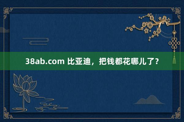 38ab.com 比亚迪，把钱都花哪儿了？