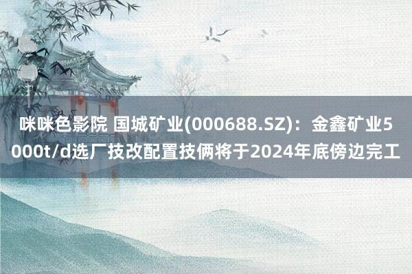 咪咪色影院 国城矿业(000688.SZ)：金鑫矿业5000t/d选厂技改配置技俩将于2024年底傍边完工