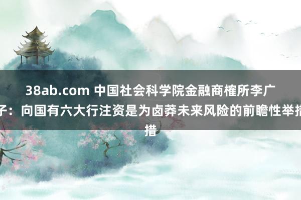 38ab.com 中国社会科学院金融商榷所李广子：向国有六大行注资是为卤莽未来风险的前瞻性举措