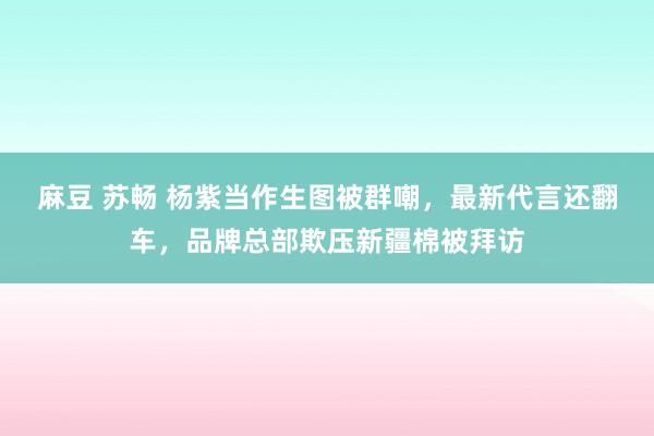 麻豆 苏畅 杨紫当作生图被群嘲，最新代言还翻车，品牌总部欺压新疆棉被拜访