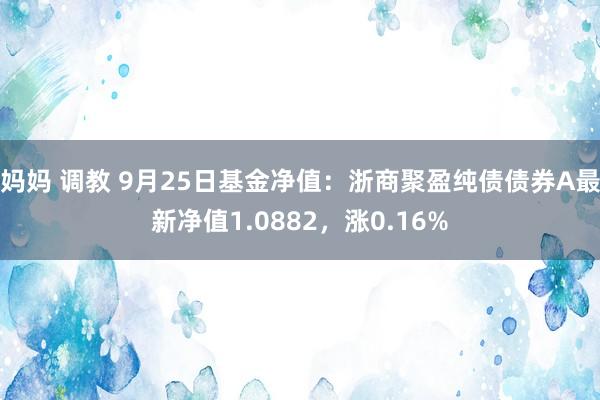 妈妈 调教 9月25日基金净值：浙商聚盈纯债债券A最新净值1.0882，涨0.16%