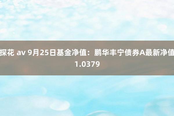 探花 av 9月25日基金净值：鹏华丰宁债券A最新净值1.0379