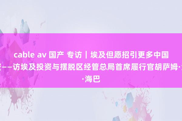 cable av 国产 专访｜埃及但愿招引更多中国投资——访埃及投资与摆脱区经管总局首席履行官胡萨姆·海巴