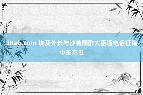 38ab.com 埃及外长与沙特酬酢大臣通电话征询中东方位