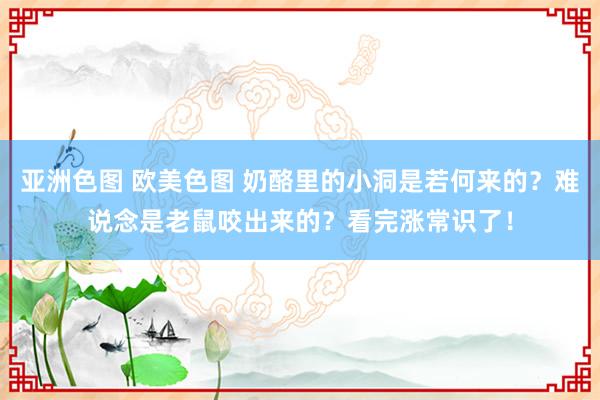 亚洲色图 欧美色图 奶酪里的小洞是若何来的？难说念是老鼠咬出来的？看完涨常识了！