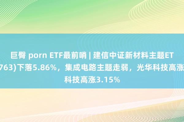 巨臀 porn ETF最前哨 | 建信中证新材料主题ETF(159763)下落5.86%，集成电路主题走弱，光华科技高涨3.15%