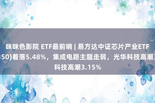 咪咪色影院 ETF最前哨 | 易方达中证芯片产业ETF(516350)着落5.48%，集成电路主题走弱，光华科技高潮3.15%