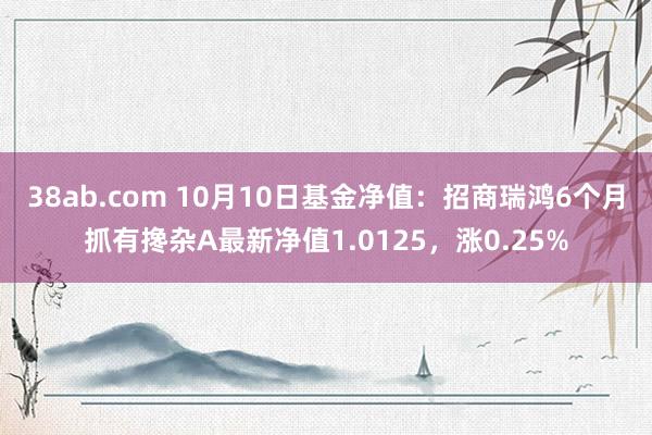 38ab.com 10月10日基金净值：招商瑞鸿6个月抓有搀杂A最新净值1.0125，涨0.25%