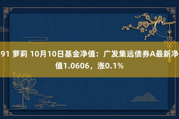 91 萝莉 10月10日基金净值：广发集远债券A最新净值1.0606，涨0.1%