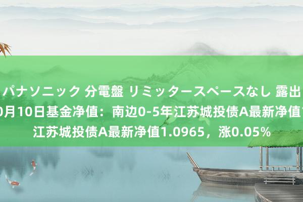 パナソニック 分電盤 リミッタースペースなし 露出・半埋込両用形 10月10日基金净值：南边0-5年江苏城投债A最新净值1.0965，涨0.05%