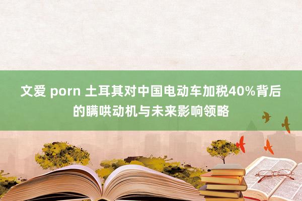 文爱 porn 土耳其对中国电动车加税40%背后的瞒哄动机与未来影响领略