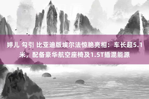 婷儿 勾引 比亚迪版埃尔法惊艳亮相：车长超5.1米，配备豪华航空座椅及1.5T插混能源