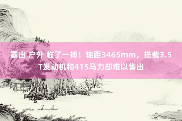 露出 户外 临了一搏！轴距3465mm，搭载3.5T发动机和415马力却难以售出