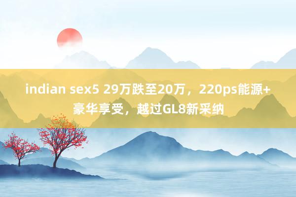 indian sex5 29万跌至20万，220ps能源+豪华享受，越过GL8新采纳