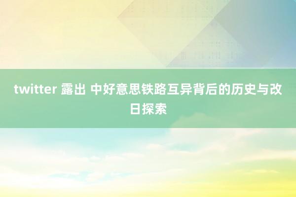 twitter 露出 中好意思铁路互异背后的历史与改日探索