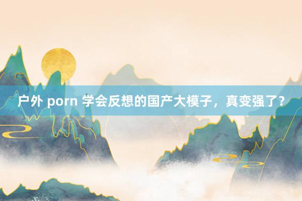 户外 porn 学会反想的国产大模子，真变强了？