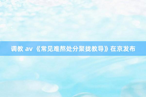 调教 av 《常见难熬处分聚拢教导》在京发布