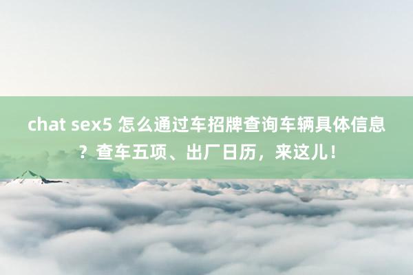 chat sex5 怎么通过车招牌查询车辆具体信息？查车五项、出厂日历，来这儿！