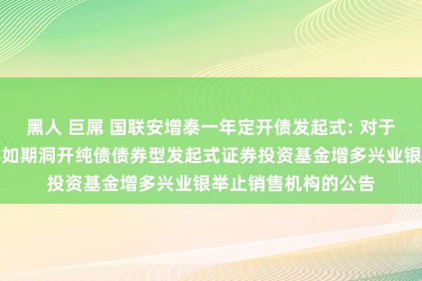 黑人 巨屌 国联安增泰一年定开债发起式: 对于旗下国联安增泰一年如期洞开纯债债券型发起式证券投资基金增多兴业银举止销售机构的公告