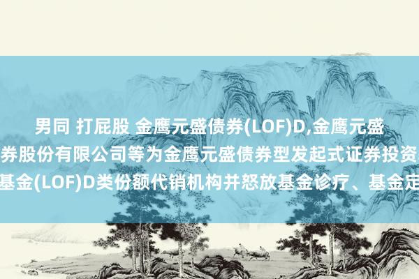 男同 打屁股 金鹰元盛债券(LOF)D，金鹰元盛债券E: 新增第一创业证券股份有限公司等为金鹰元盛债券型发起式证券投资基金(LOF)D类份额代销机构并怒放基金诊疗、基金定投业务及费率优惠的公告