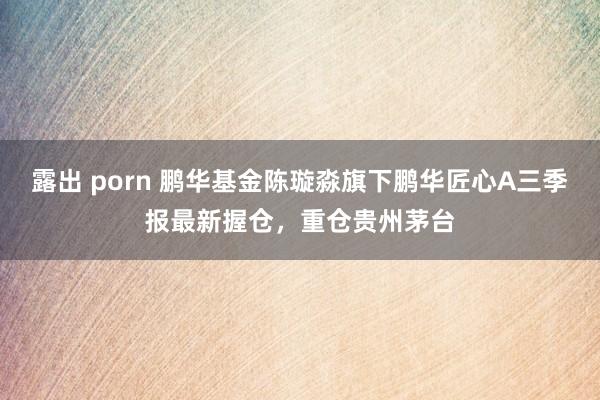 露出 porn 鹏华基金陈璇淼旗下鹏华匠心A三季报最新握仓，重仓贵州茅台