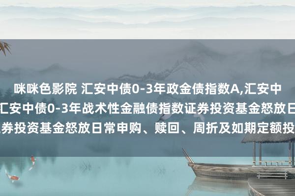 咪咪色影院 汇安中债0-3年政金债指数A，汇安中债0-3年政金债指数C: 汇安中债0-3年战术性金融债指数证券投资基金怒放日常申购、赎回、周折及如期定额投资业务的公告