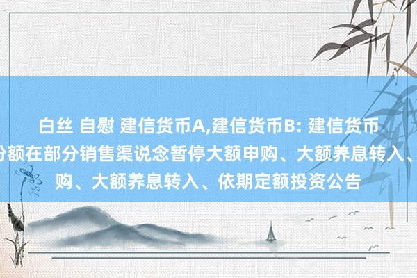 白丝 自慰 建信货币A，建信货币B: 建信货币阛阓基金B类基金份额在部分销售渠说念暂停大额申购、大额养息转入、依期定额投资公告