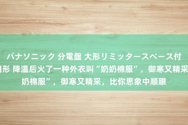 パナソニック 分電盤 大形リミッタースペース付 露出・半埋込両用形 降温后火了一种外衣叫“奶奶棉服”，御寒又精采，比你思象中顺眼