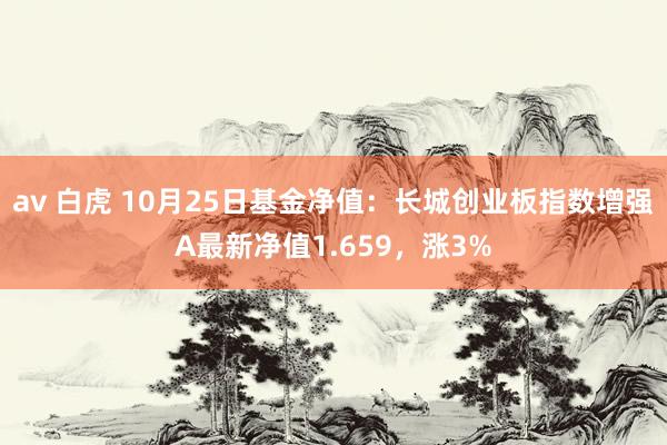 av 白虎 10月25日基金净值：长城创业板指数增强A最新净值1.659，涨3%