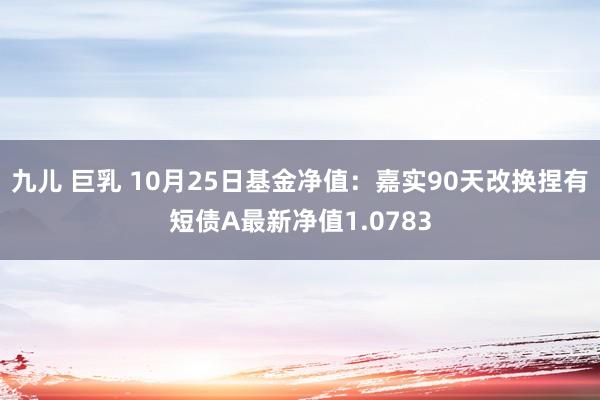 九儿 巨乳 10月25日基金净值：嘉实90天改换捏有短债A最新净值1.0783