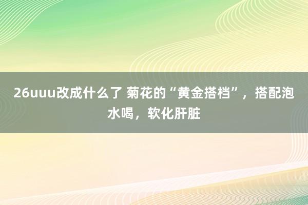 26uuu改成什么了 菊花的“黄金搭档”，搭配泡水喝，软化肝脏