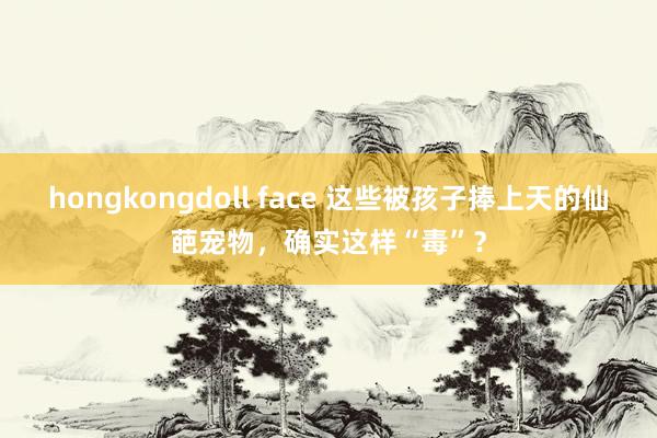 hongkongdoll face 这些被孩子捧上天的仙葩宠物，确实这样“毒”？