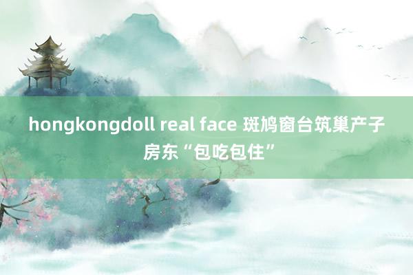 hongkongdoll real face 斑鸠窗台筑巢产子 房东“包吃包住”