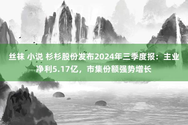 丝袜 小说 杉杉股份发布2024年三季度报：主业净利5.17亿，市集份额强势增长