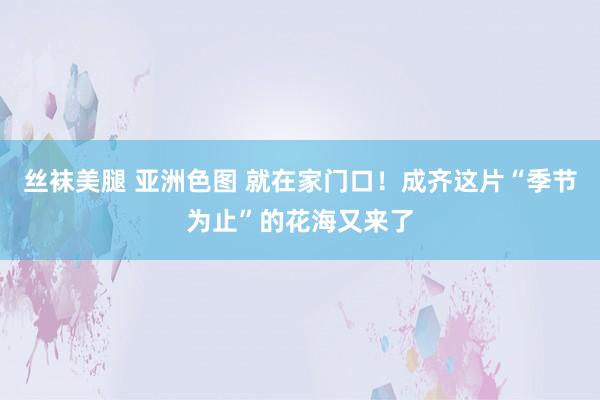 丝袜美腿 亚洲色图 就在家门口！成齐这片“季节为止”的花海又来了