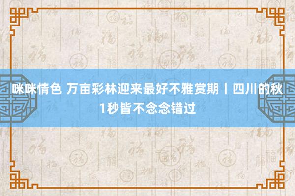 咪咪情色 万亩彩林迎来最好不雅赏期丨四川的秋1秒皆不念念错过