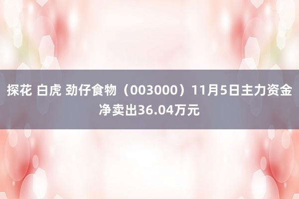 探花 白虎 劲仔食物（003000）11月5日主力资金净卖出36.04万元